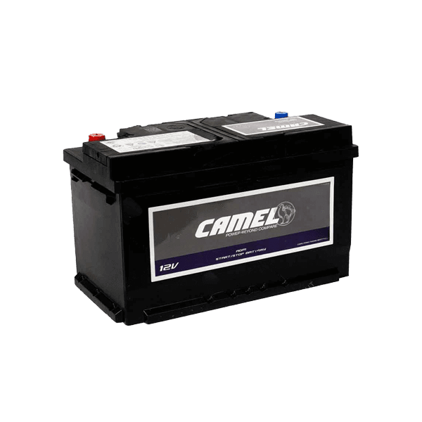 Camel 55D23