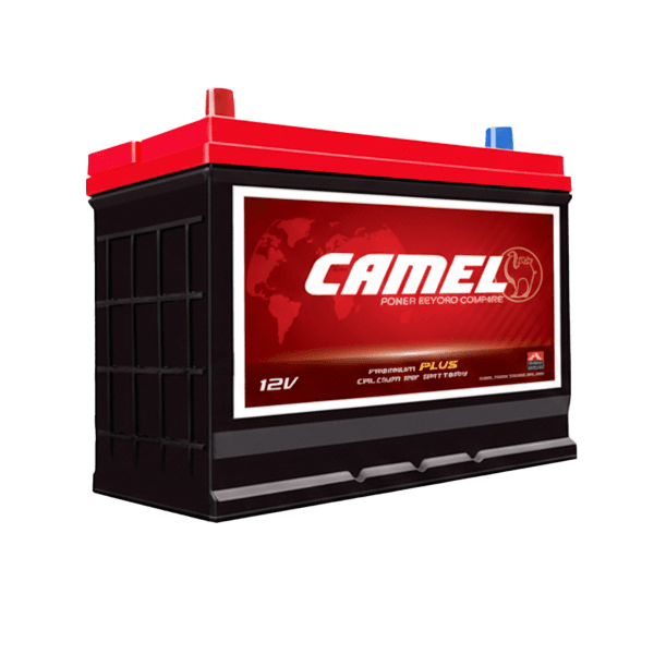 Camel DIN66